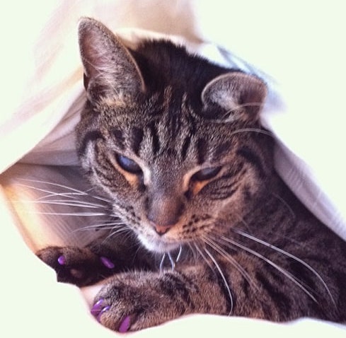 image of Sasha